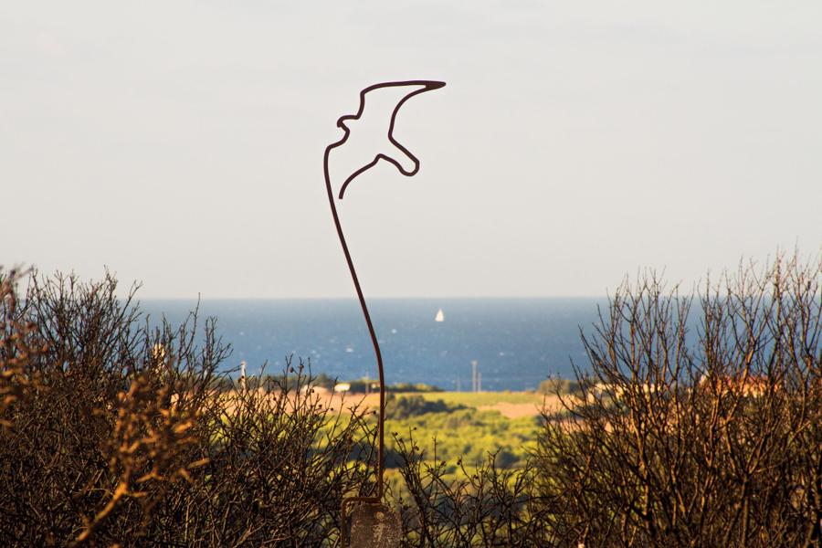 Parco Naturale Regionale Costa Otranto-Leuca e Bosco di Tricase